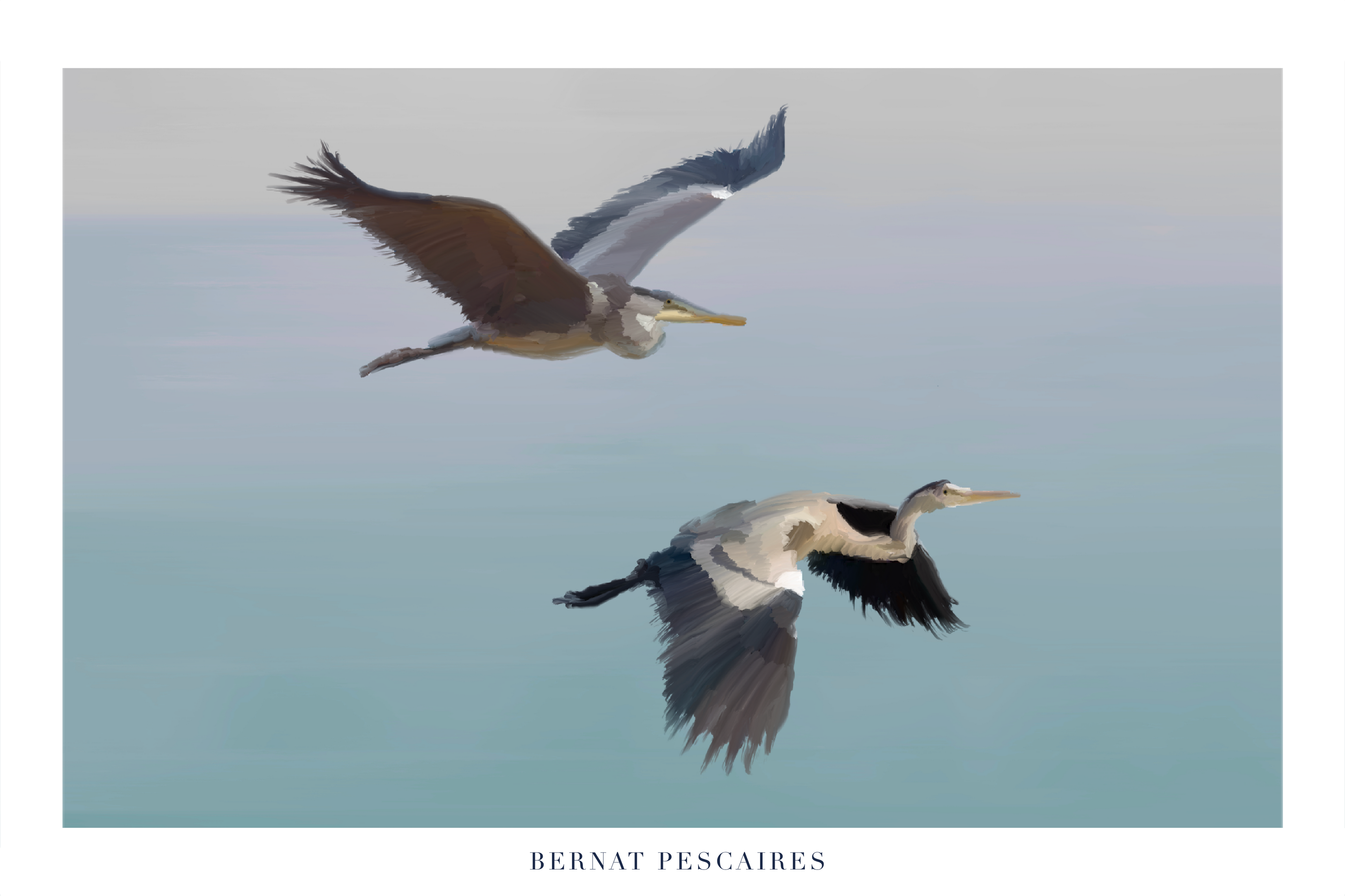 Bernat Pescaires
