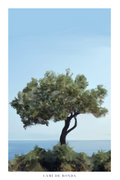 Camí de Ronda